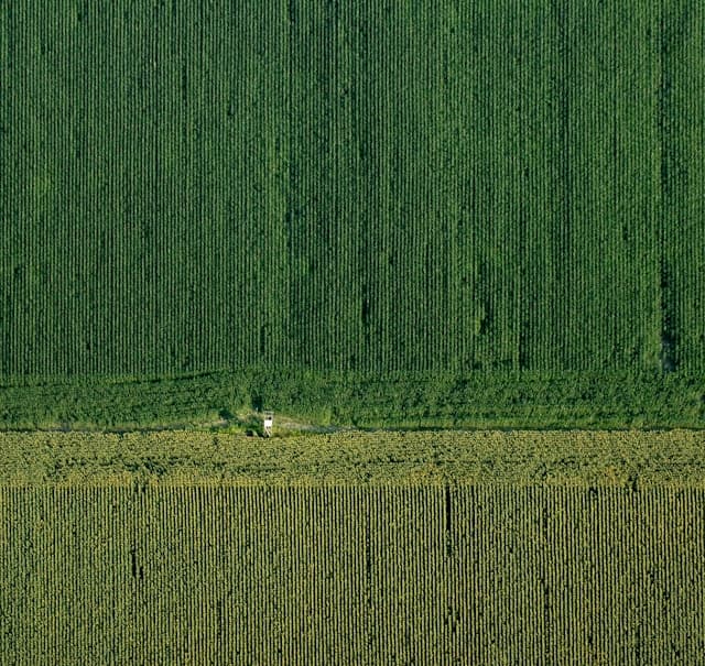 AgTech and agriculture