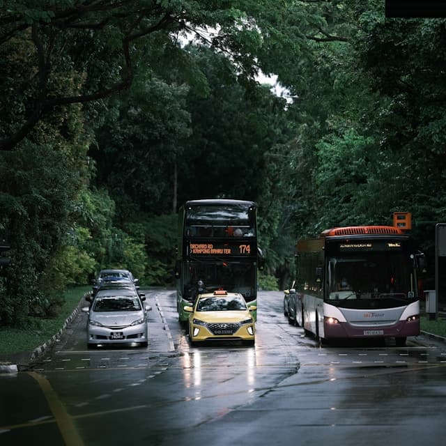 Transportation and mobility
